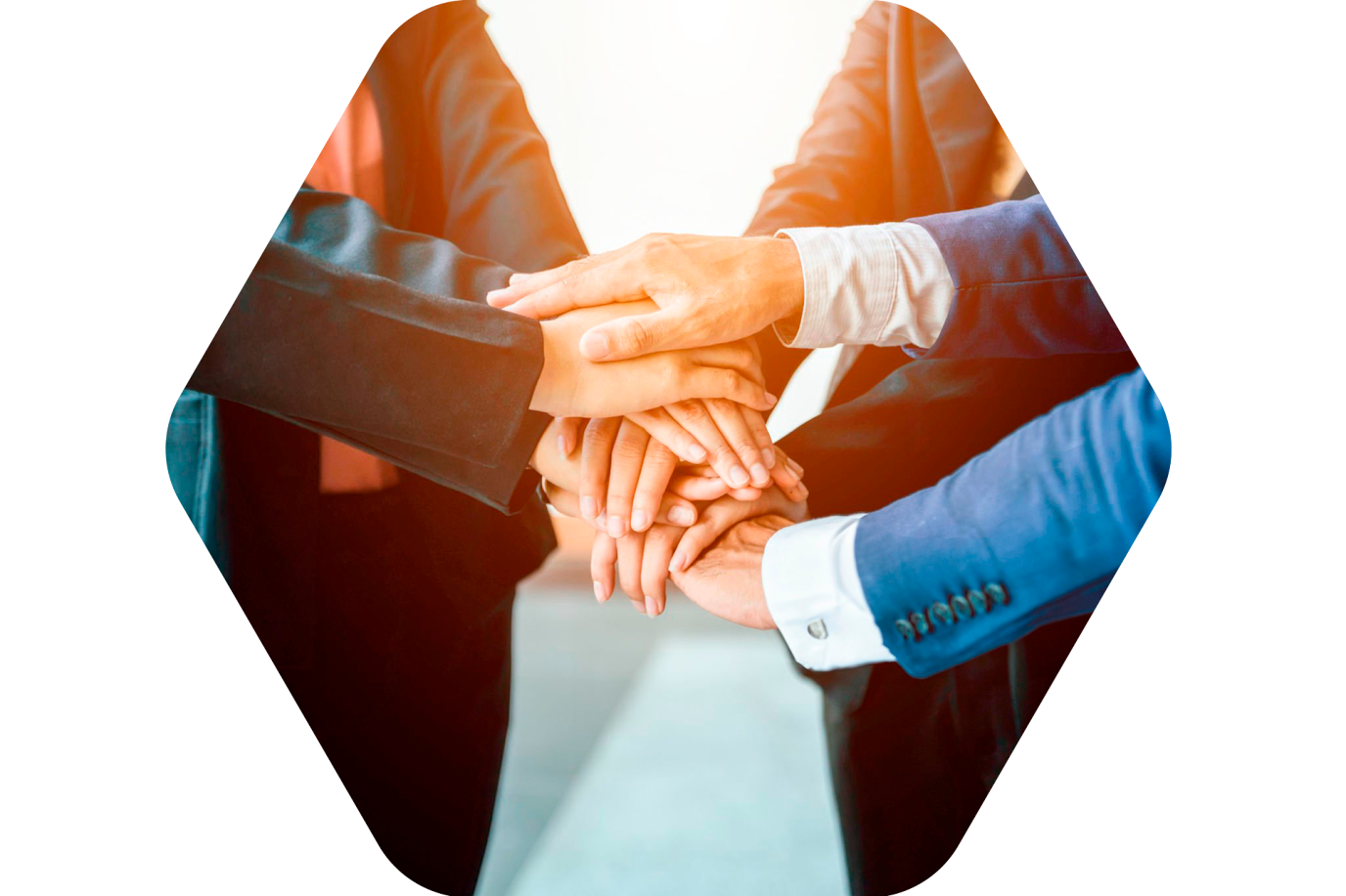 Laboratorios Lazar - Logistica